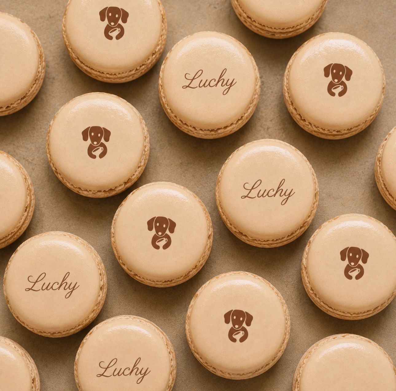Macarons de Luchy